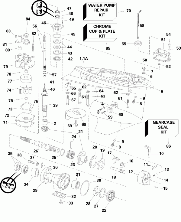 �������� ��������� ����� EVINRUDE E115DSLSUC  - arcase / arcase