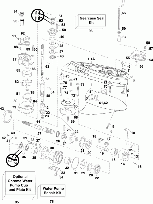 ��������� Evinrude E175DPXSUF  - arcase / arcase