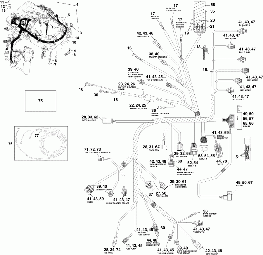 ��������� ��������� Evinrude E200DCXSUF  - ectrical ���� �������� - ectrical Harness