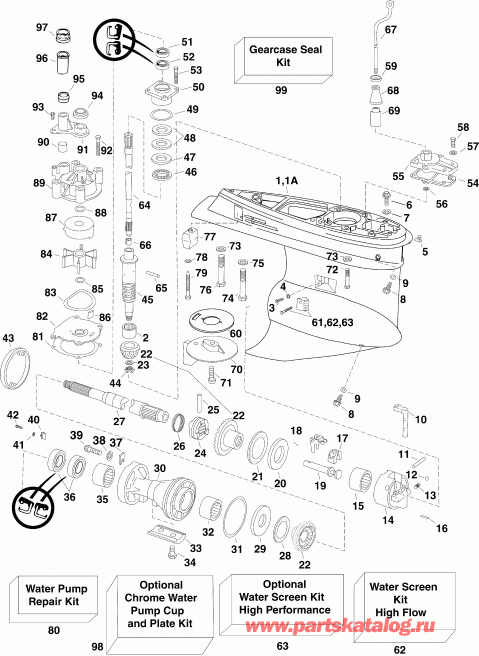 ��������� ��������� ������� E225DPXSUA  - arcase - arcase