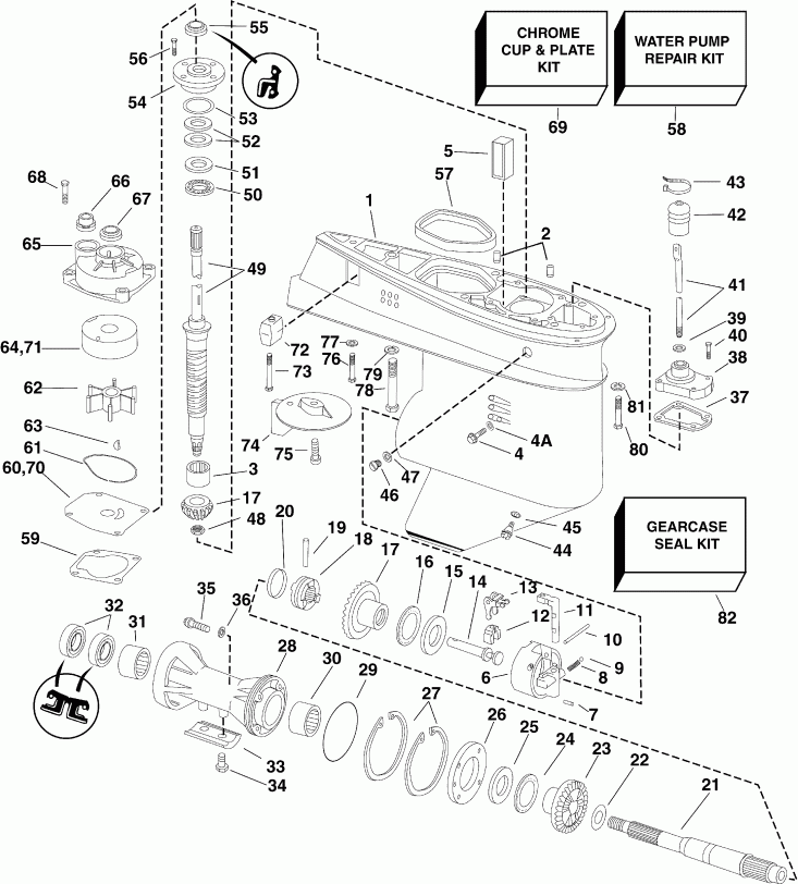 ��������� �������� ����� Evinrude E50DPLSUM  - arcase - arcase