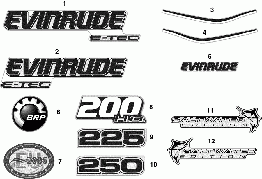  Evinrude E225DCXSCF  - cals