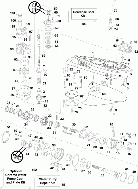 ��������� �������� ����� EVINRUDE E225DCXSCM  - arcase - arcase