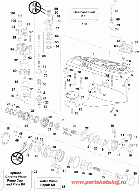 ��������� ��������� ������� E225DCZSCF  - arcase / arcase