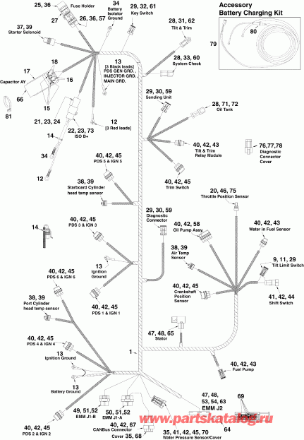 ��������� ����� Evinrude E225DPLSCF  - ectrical Harness