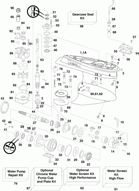 ��������� �������� ����� EVINRUDE E225DPXSCM  - arcase - arcase