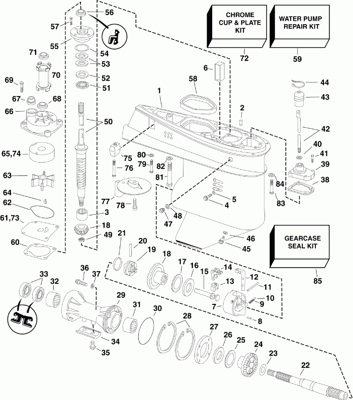  Evinrude E50DSLSCS  - arcase