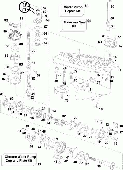 ��������� Evinrude E130DCXSES  - arcase