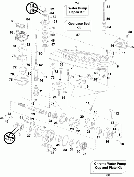 ��������� ��������� EVINRUDE E130DPXSES  - arcase