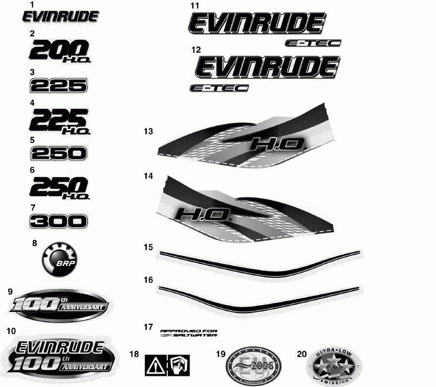  EVINRUDE E225DCXSEB  - cals