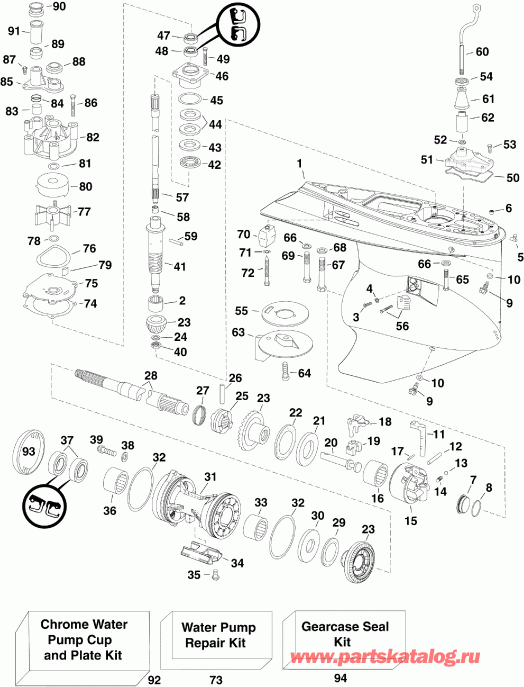�������� ��������� ����� Evinrude E250DPLSEB  - arcase - arcase