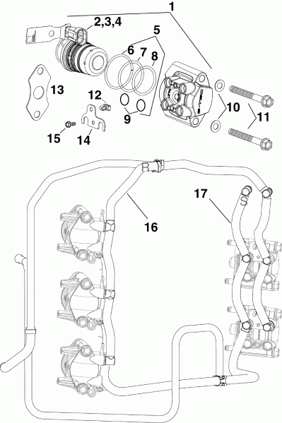 ��������� ��������� Evinrude DE250CXISS  - el Injector & Rails