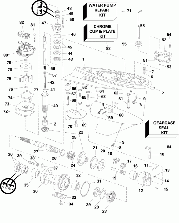 ��������� Evinrude E115HSLISF  - arcase