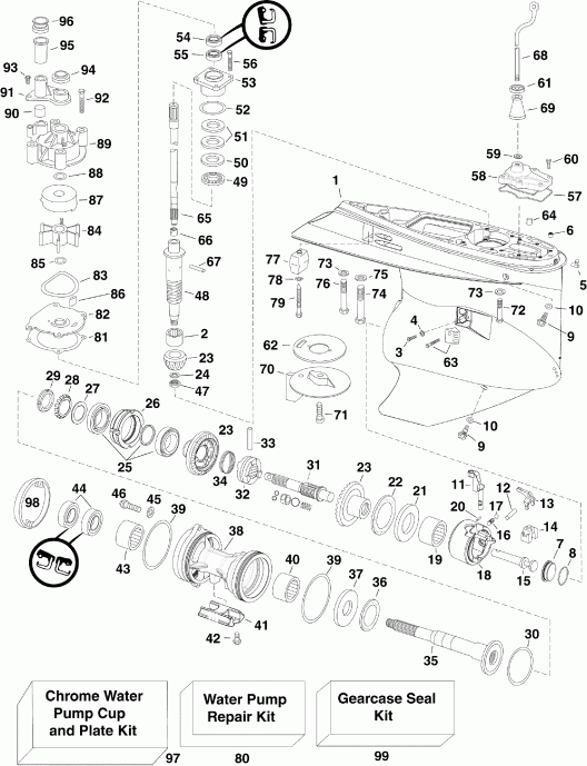 ��������� ��������� Evinrude E200DCXISF  - arcase / arcase