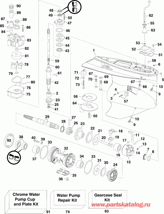  EVINRUDE E200DPXISB  - arcase / arcase