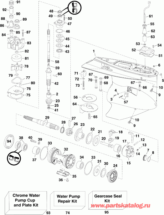 �������� ����� EVINRUDE E300DPXISF  - arcase / arcase