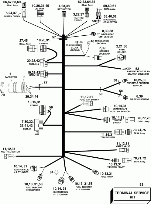 �������� ��������� ����� Evinrude E55MJRLISA  - ectrical ���� �������� / ectrical Harness