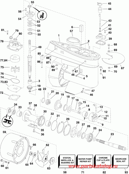 ��������� Evinrude E55MJRLISA  - arcase