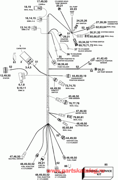  Evinrude E65WDRLISF  - ectrical ���� �������� / ectrical Harness