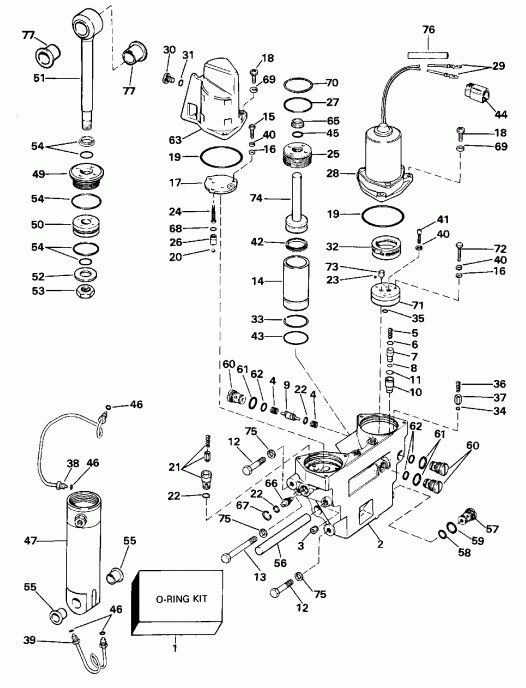 ��������� �������� ����� Evinrude E100WTXEOC 1995  - wer Trim/tilt Hydraulic Assembly