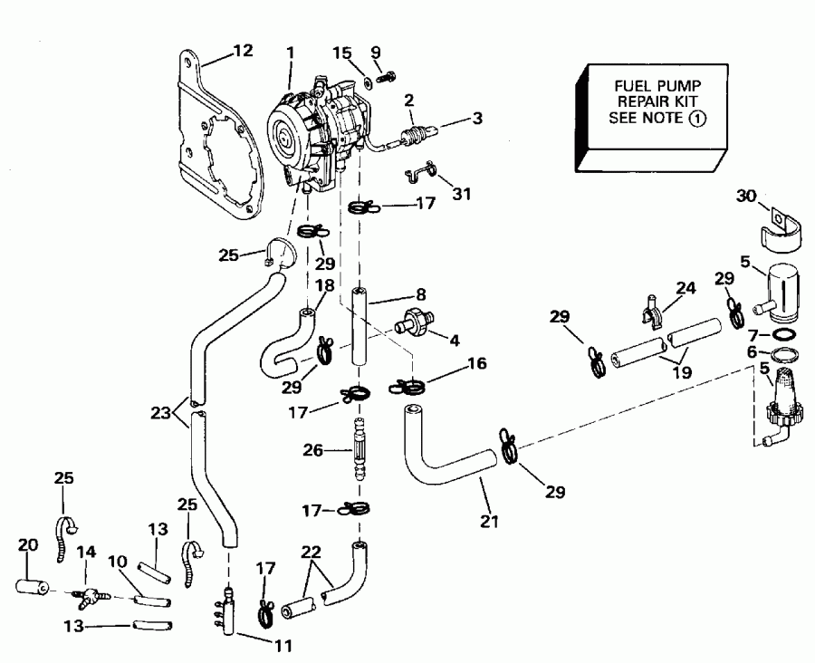  EVINRUDE E65WMLEOC 1995  - el ����� / el Pump