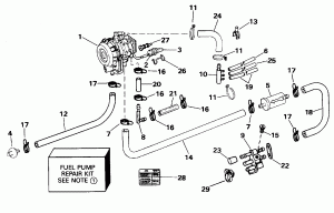 Midsection (Midsection)