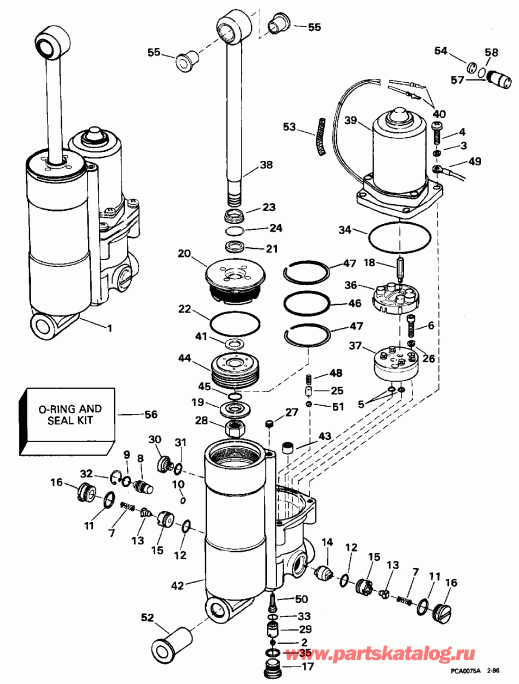 ����� EVINRUDE BE50BELEDS 1996  - wer Trim / tilt - wer Trim/tilt