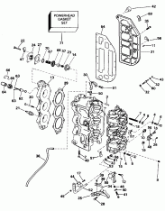 ������� & ������ ��������� (Cylinder & Crankcase)