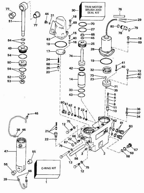    Evinrude E88TSLEDR 1996  - wer Trim/tilt Hydraulic Assembly / wer Trim / tilt Hydraulic Assembly