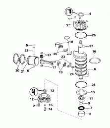 ���������� - All 55 Models, 40rw (Carburetor - All 55 Models, 40rw)