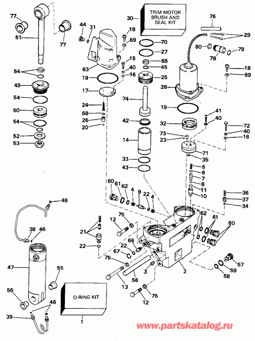 ��������� ��������� Evinrude XE112TSXEDR 1996  - wer Trim / tilt Hydraulic Assembly