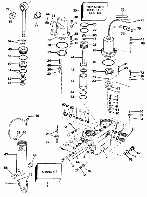 ��������� ����� EVINRUDE XE88TSLEDR 1996  - wer Trim/tilt Hydraulic Assembly - wer Trim / tilt Hydraulic Assembly