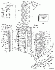 ������� & ������ ��������� (Cylinder & Crankcase)