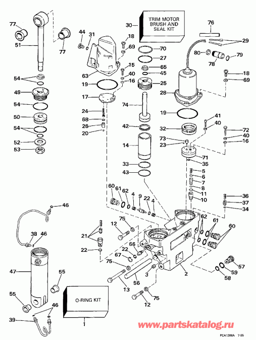 ��������� �������� ����� Evinrude E100WTXEUA 1997  - wer Trim / tilt Hydraulic Assembly