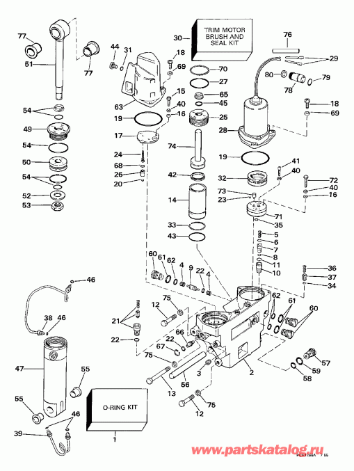 ��������� ����� EVINRUDE SE100WTPLZ 1997  - wer Trim / tilt Hydraulic Assembly