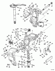 Midsection (Midsection)