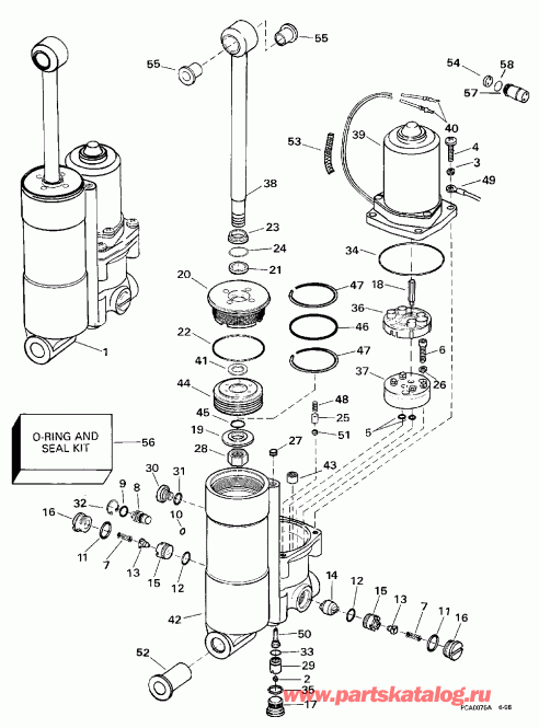 �������� ��������� ����� Evinrude E40TEECR 1998  - wer Trim / tilt - wer Trim/tilt