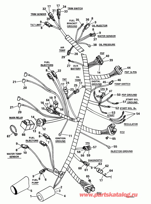 �������� ��������� ����� EVINRUDE E115FSLEEN 1999  - tor Cable Assembly / tor ������ Assembly