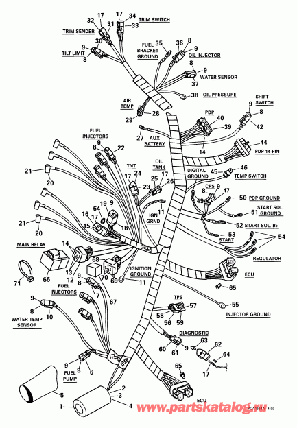 ��������� ��������� Evinrude E175FCXEEN 1999  - tor Cable Assembly