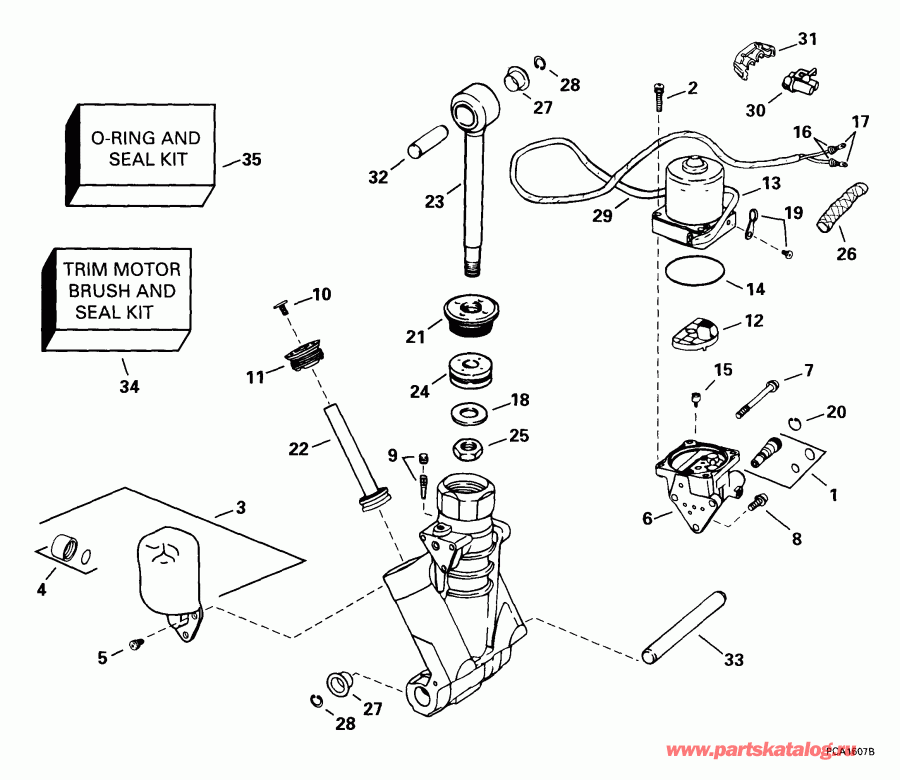  EVINRUDE E200FPXEES 1999  - wer Trim / tilt Hydraulic Assembly / wer Trim/tilt Hydraulic Assembly