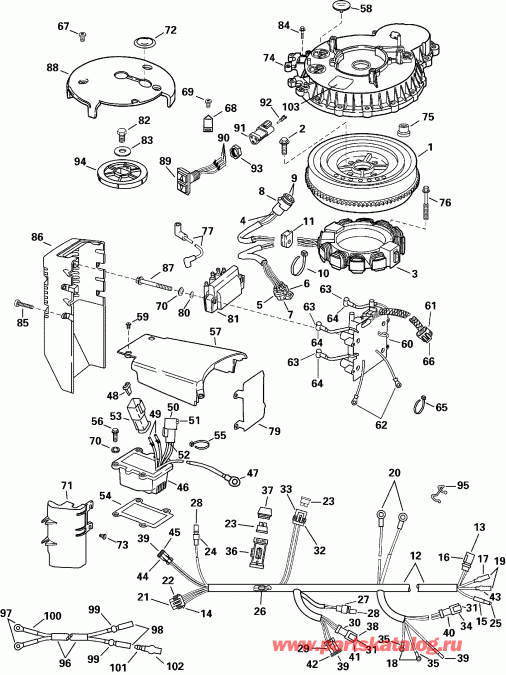 ��������� Evinrude E100WPXSSR Commercial, Elec. Start, TNT,  - nition System / nition System