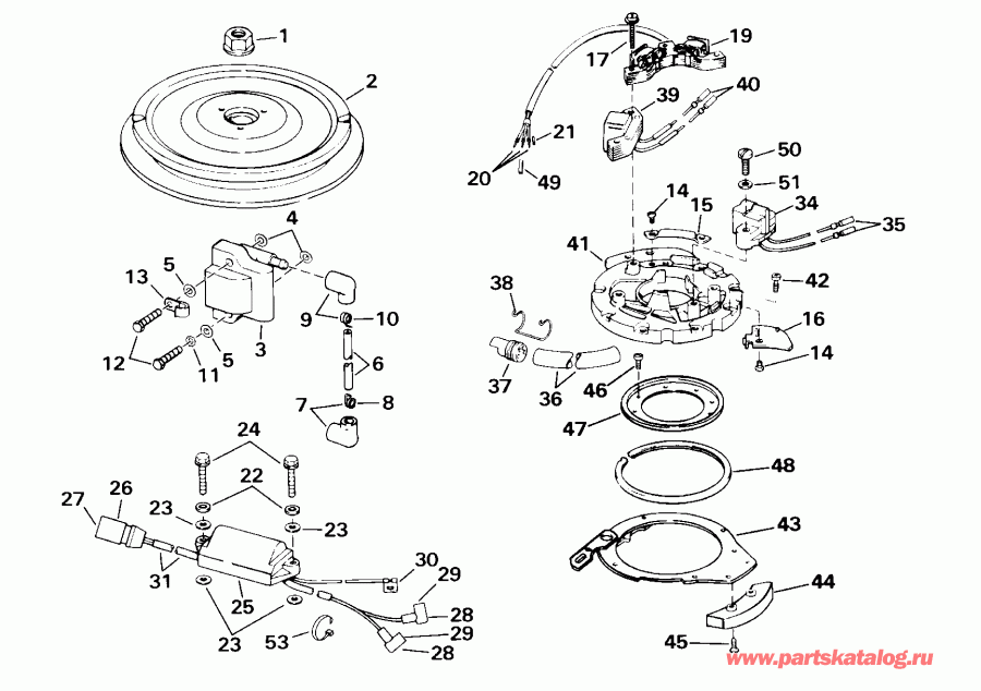 ��������� ����� Evinrude E25WRLSSC Commercial, Rope Start, 20 IN.  - nition
