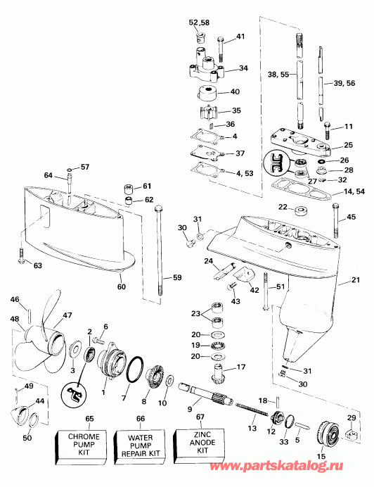 ��������� Evinrude E6RL4SSB 4-Stroke, Rope Start, Tiller, 2  - arcase / arcase