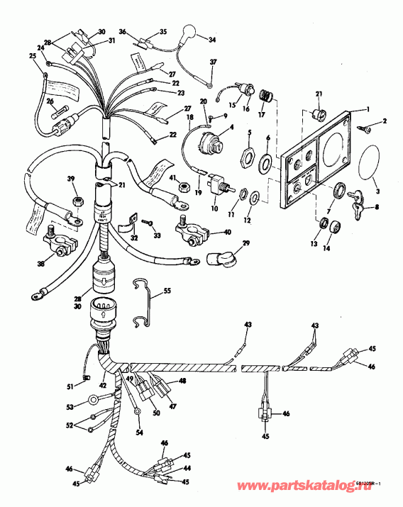 ��������� ����� EVINRUDE E300PLEIE 1991  - Standard Rotation - �������� Rotation