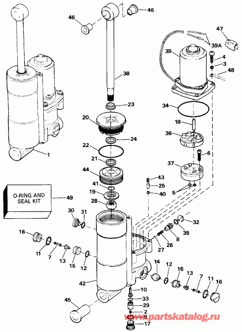 ��������� ��������� Evinrude E50TELEIA 1991  - wer Tilt & Trim - wer Tilt & Trim