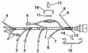 ������ Assembly (Cable Assembly)