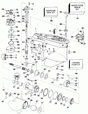 Midsection (Midsection)