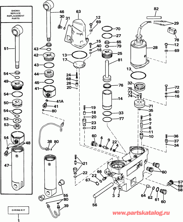   Evinrude E100WTLCOC 1985  - wer Trim / tilt Hydraulic Assembly - wer Trim/tilt Hydraulic Assembly