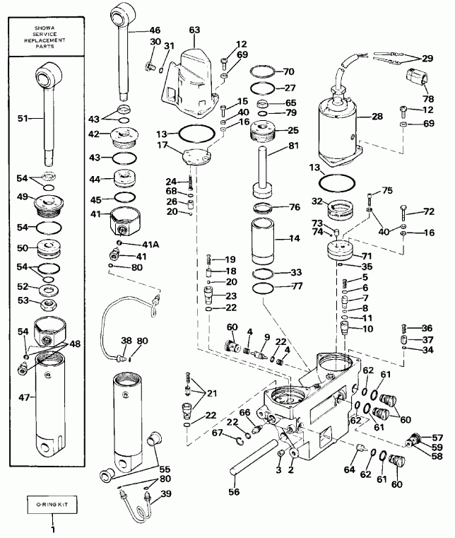  EVINRUDE E150TLCDC 1986  - wer Trim / tilt Hydraulic Assembly / wer Trim/tilt Hydraulic Assembly