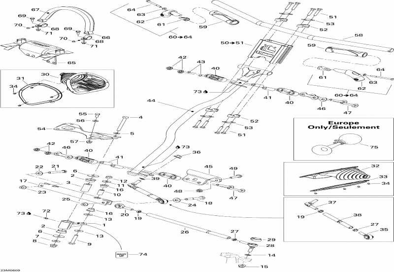 snowmobile Ski-doo MX Z 1000 SDI Renegade X, 2006 ������ - ������� ������� System